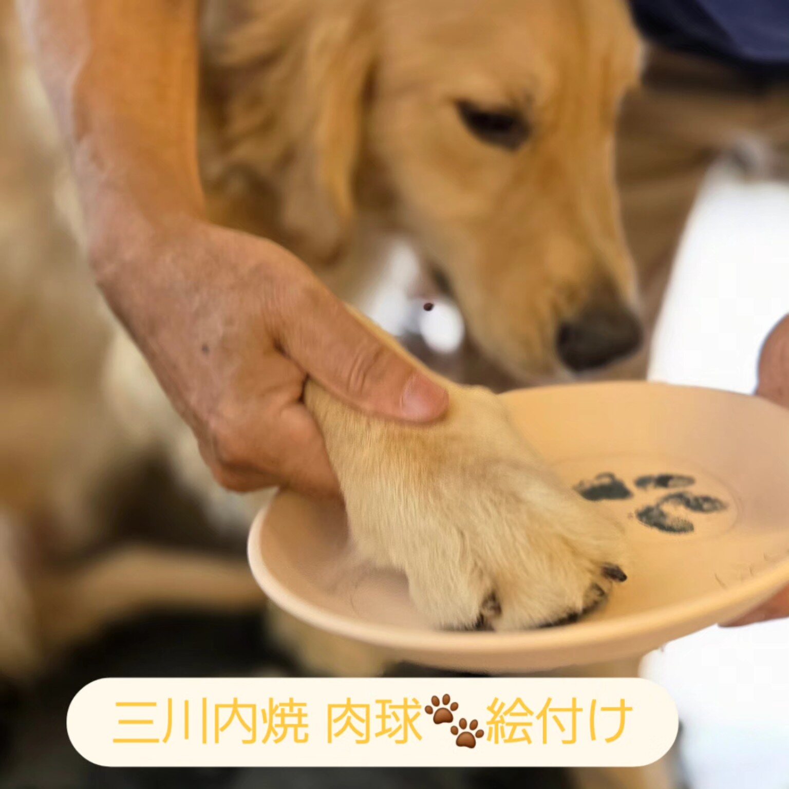 陶磁器商品の企画・販売支援